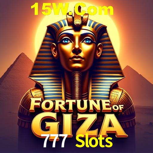 777 Slots Rio de Janeiro - Bonus Terms